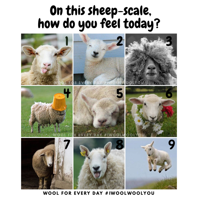 on-this-sheep-scale-how-do-you-feel-today.png