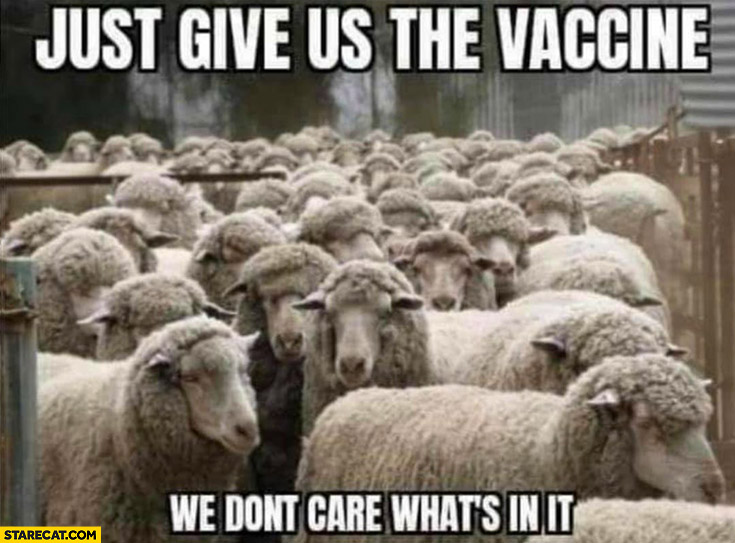 sheep-just-give-us-the-vaccine-we-dont-care-whats-in-it.jpg
